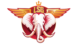 LSG