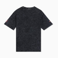 PUMA X RCB 2026 MEN'S PRINTED VINTAGE TEE